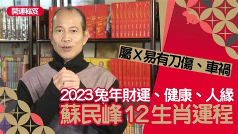 2023年病位化解|【蘇民峰兔年增運秘笈】兔年9種方位風水佈局 蘇民峰。